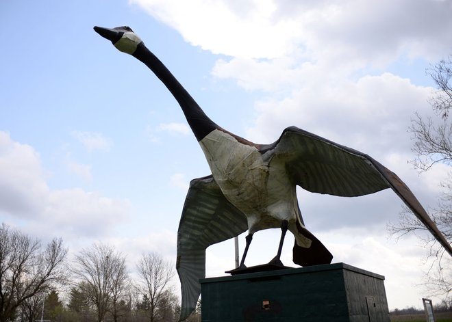 World's Largest Goose