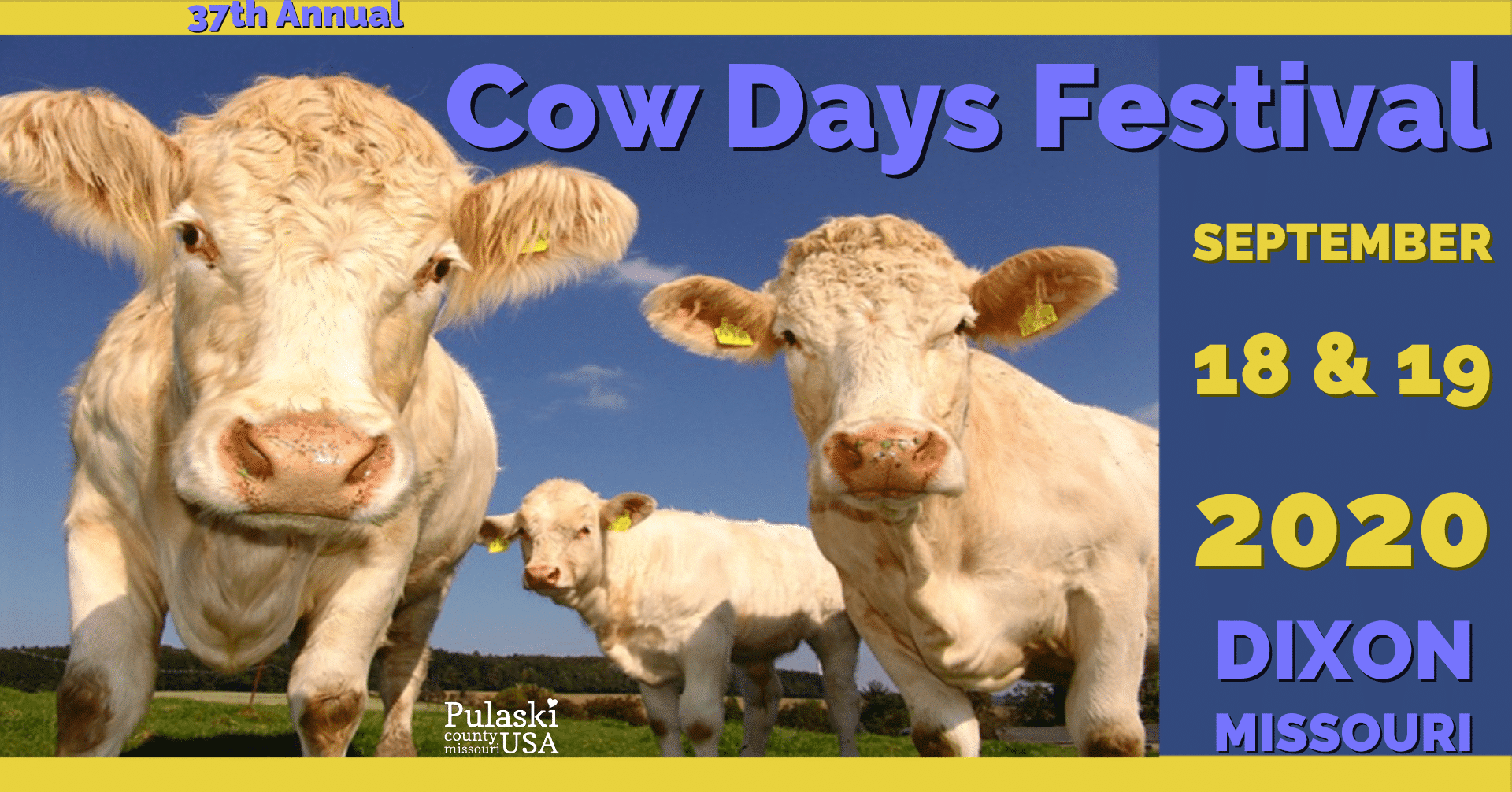37th Annual Cow Days Festival in Dixon Missouri
