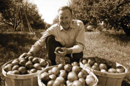 1970: Paul Stark Jr., a fifth-generation owner, shows off a bumper apple crop in bushel baskets.