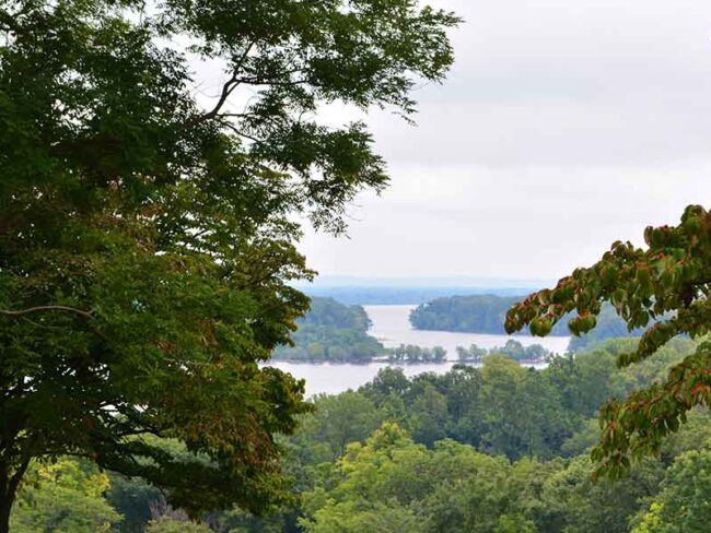 View of the Mighty Mississippi through the trees of Clarksville in the Village of Blue Rose