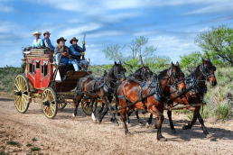 The Butterfield Stagecoach