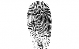 Fingerprint on white background