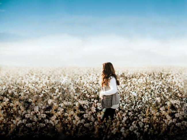 Bootheel Cotton Field