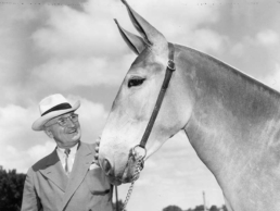 Missouri mule and Harry Truman
