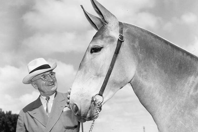 Missouri mule and Harry Truman