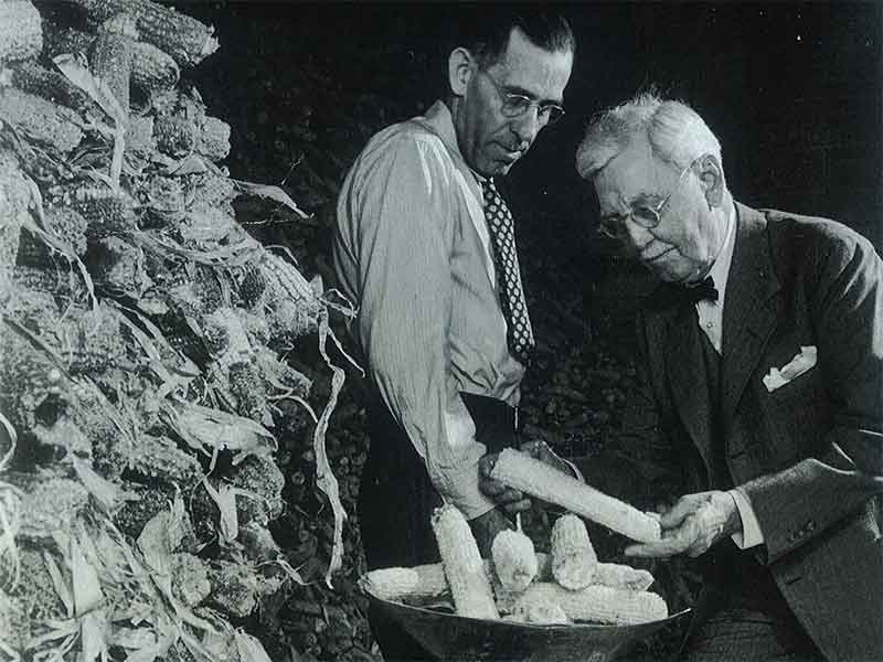 Missouri Businessmen evaluating Missouri grown corn on the cob.