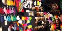 The Feather Family in Missouri displays lots of different types of colorful feathers for costume purposes or Mardi Gras Festival in St. Louis Missouri