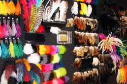 The Feather Family in Missouri displays lots of different types of colorful feathers for costume purposes or Mardi Gras Festival in St. Louis Missouri