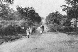 Marathon race led by Samuel Mellor during 1904 Summer Olympics