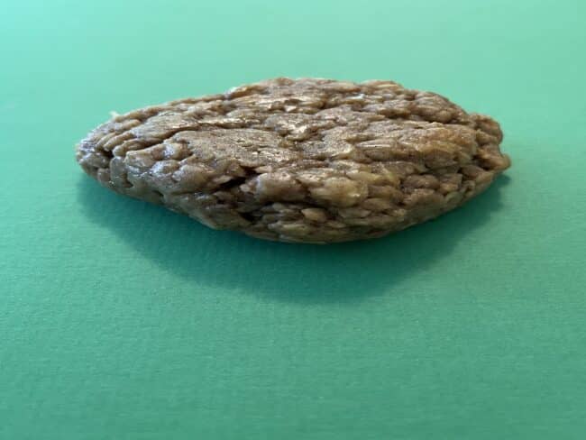 Apple–Oatmeal Cookies