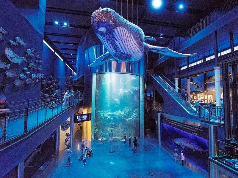 Springfield Aquarium Voted Top Tourist Destination • Missouri Life Magazine - Jan 5